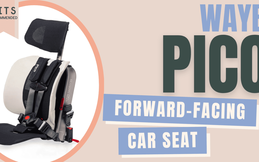 Wayb Pico Car Seat Review (US)