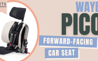 Wayb Pico Car Seat Review (US)