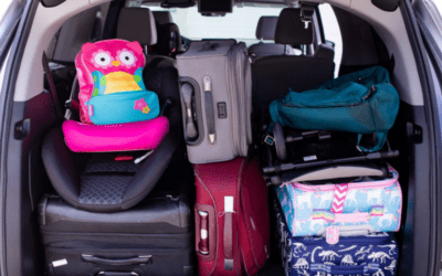 50+ Family Road Trip Essentials